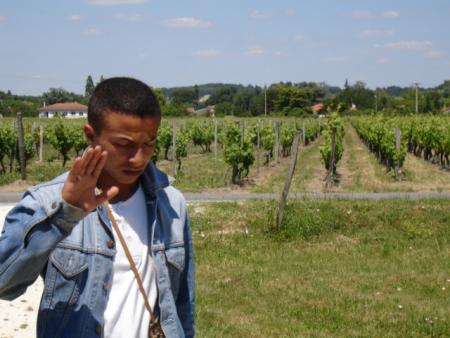 VIP kamel