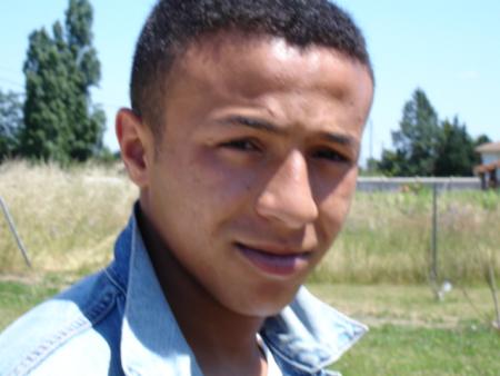 kamel